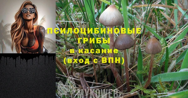 не бодяженный Вяземский
